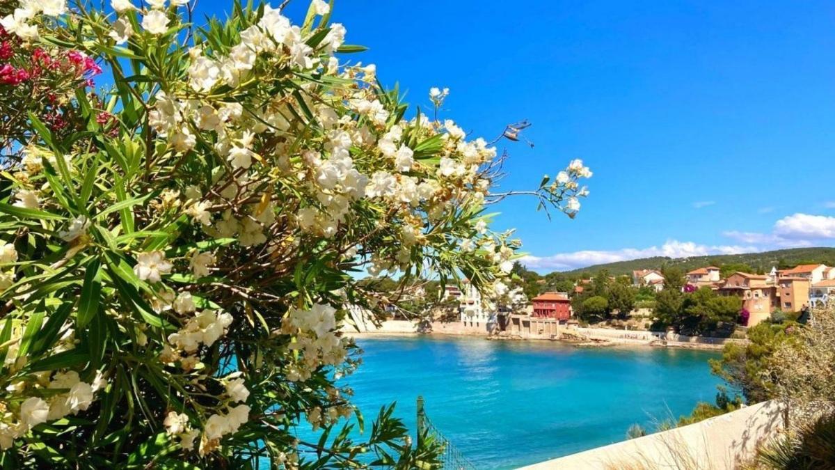 Superbe appartement cosy à 300 m de la plage Bandol Exterior foto